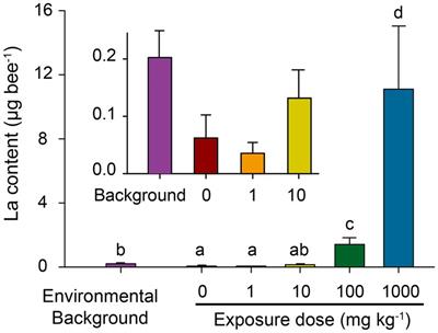 Nano-La2O3 Induces Honeybee (Apis mellifera) Death and Enriches for Pathogens in Honeybee Gut Bacterial Communities